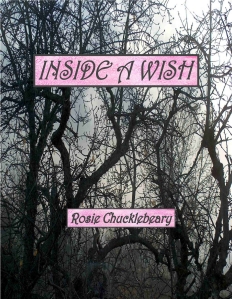 Inside a Wish front cover